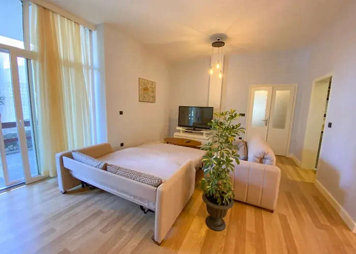 Pet friendly Flat In Bodrum- King Mausolus Welcomes You