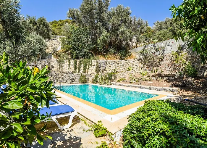 Pet friendly Villa Leo Bodrum Yalikavak