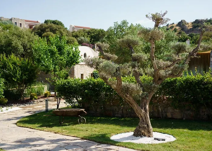 Odette Bodrum