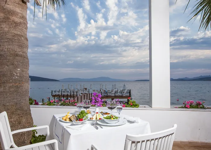 Bodrum Beach Resorts