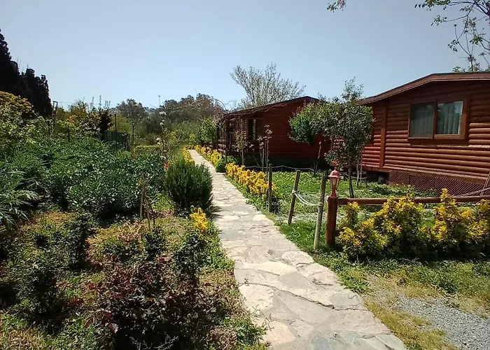 Pet friendly Defnewoodhome Bodrum