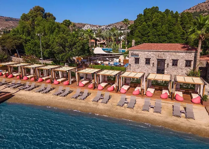 Divan Bodrum Palmira Golturkbuku