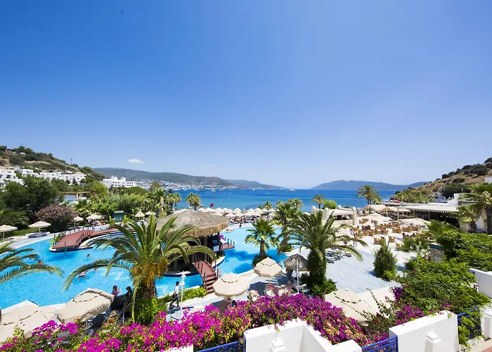 Bodrum hotels near Turkkuyusu Camii