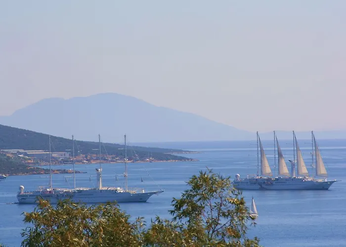 Pet friendly Sunshine Hotel Bodrum