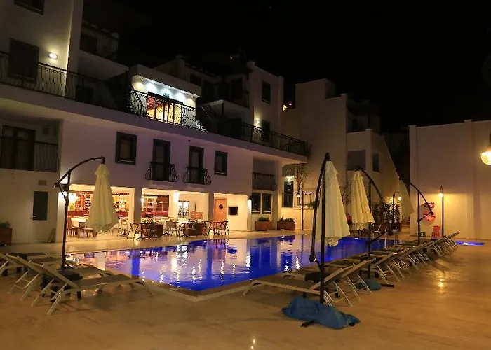 Pet friendly Modern Life Hotel Bodrum